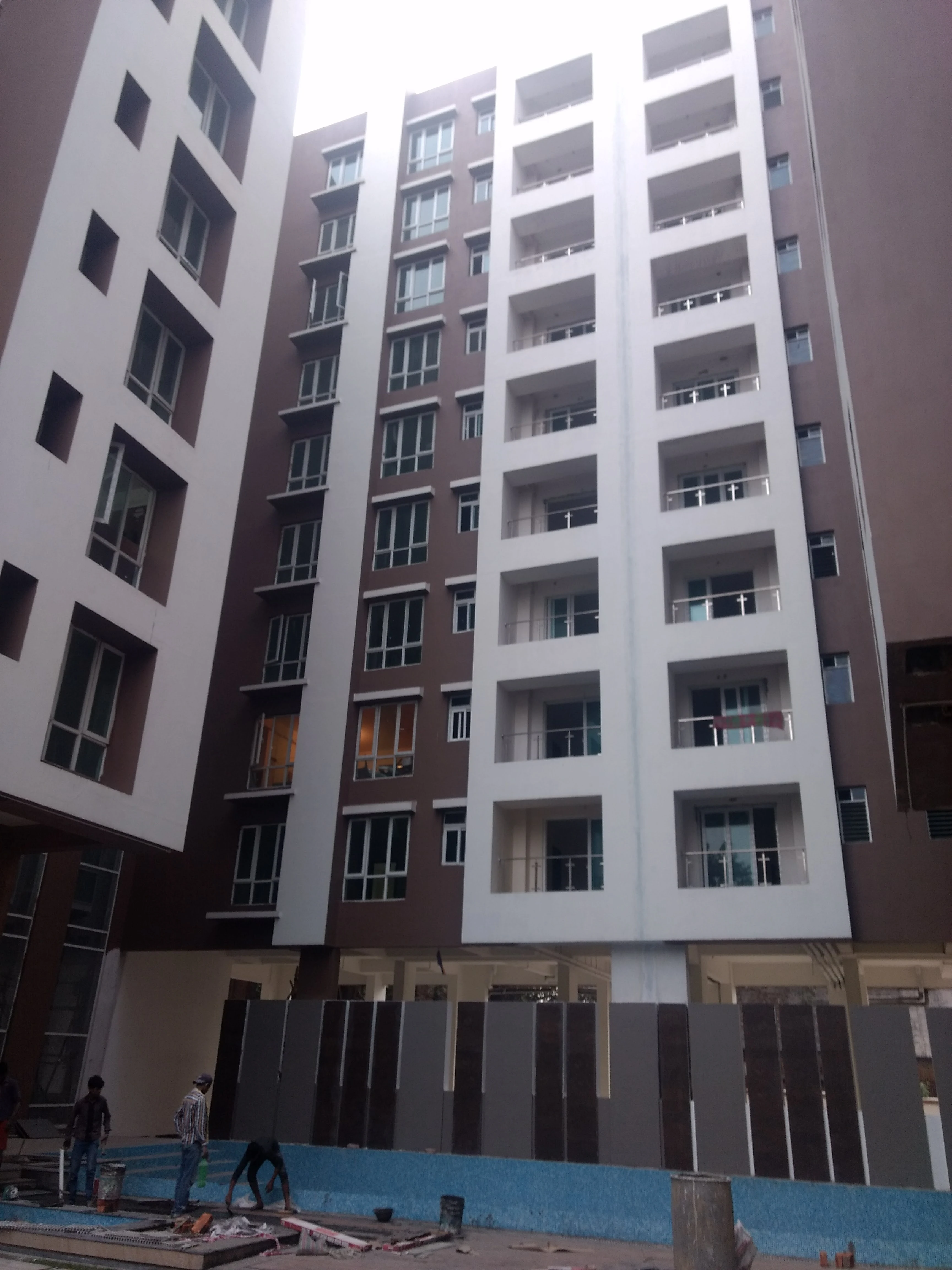 Putty & Painting work by MPMP Contracts - photo 6